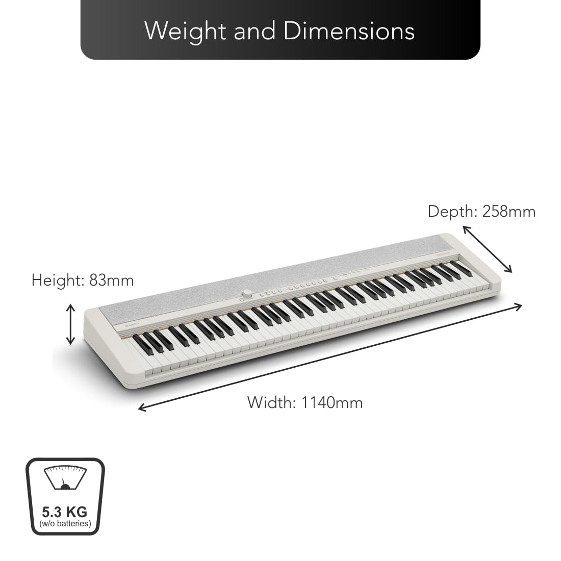 Casio CT-S1-76 76 Key Portable Keyboard with Touch Response