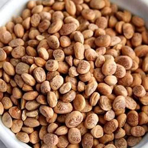 NatureVit Almondette Seeds (Chironji/Charoli)