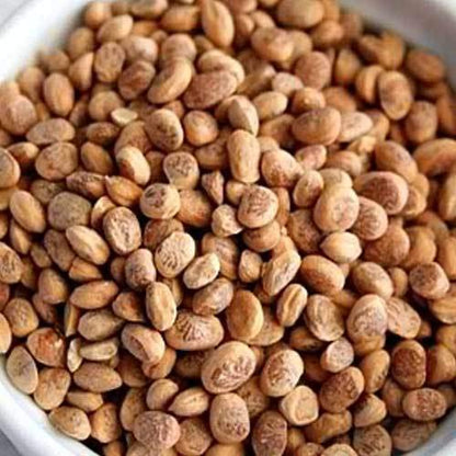 NatureVit Almondette Seeds (Chironji/Charoli)