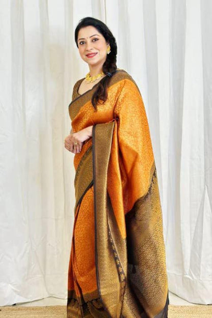 Vasthrlay Classic Traditional Saree for wedding and party wear styling