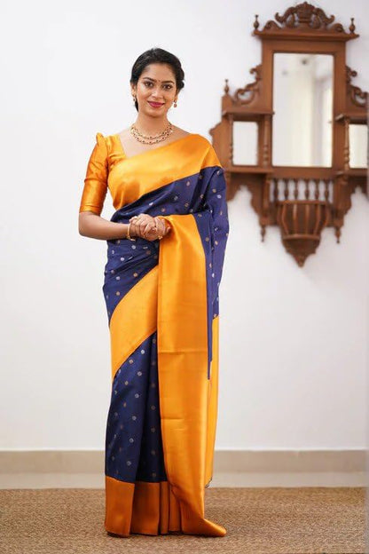 Vasthrlay Classic Traditional Saree for wedding and party wear styling