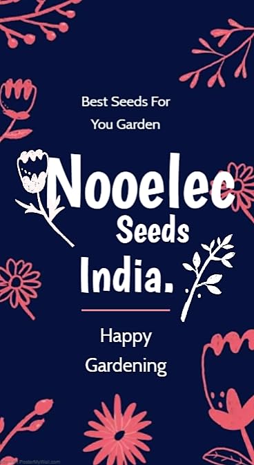NooElec Mix Color Tulip Seeds Flower Seeds