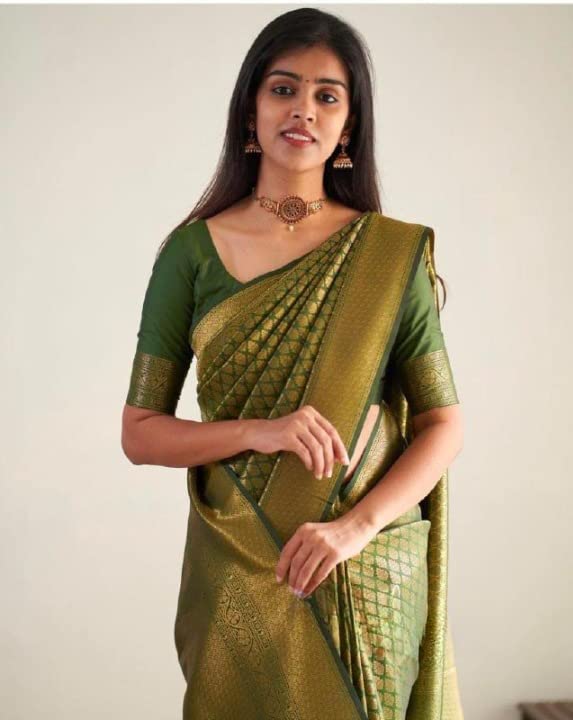 Vasthrlay Classic Traditional Saree for wedding and party wear styling