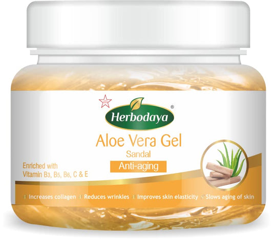 Herbodaya Aloe Vera Gel Sandal for Anti Aging in a jar, with fresh aloe vera leaves and sandalwood chips. - Image 2