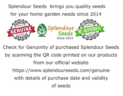 Splendour Seeds Cosmos Mix Flower Seeds