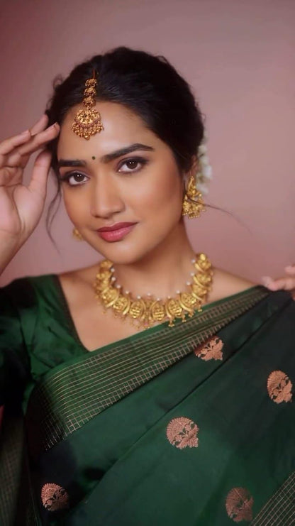 Vasthrlay Classic Traditional Saree for wedding and party wear styling