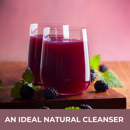 Nutty Yogi Jamun Powder 50g