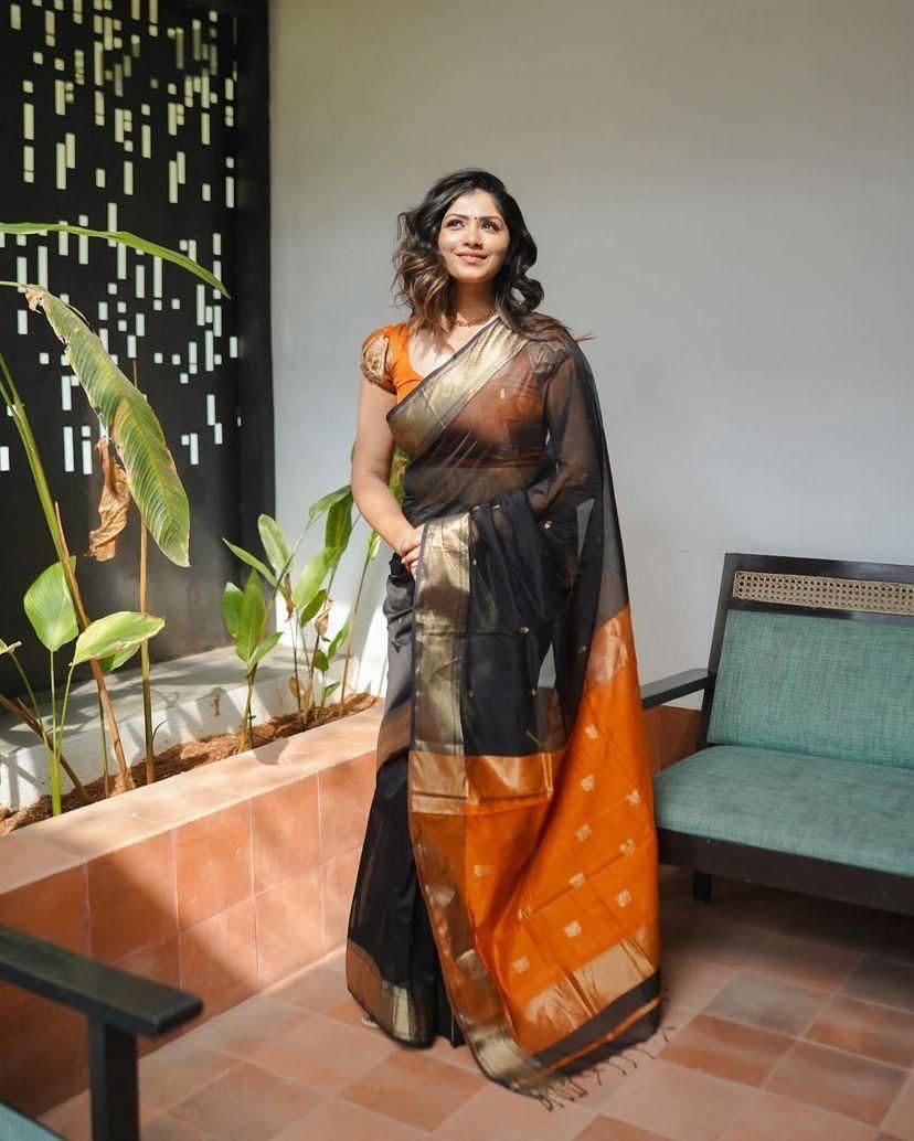 Vasthrlay Classic Traditional Saree for wedding and party wear styling