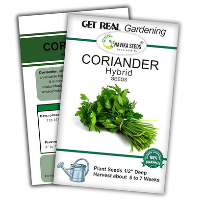 Navika Seeds Coriander Seeds 