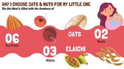 HEALTHY PANDA Oats & Nuts breakfast cereal - PUSHMYCART