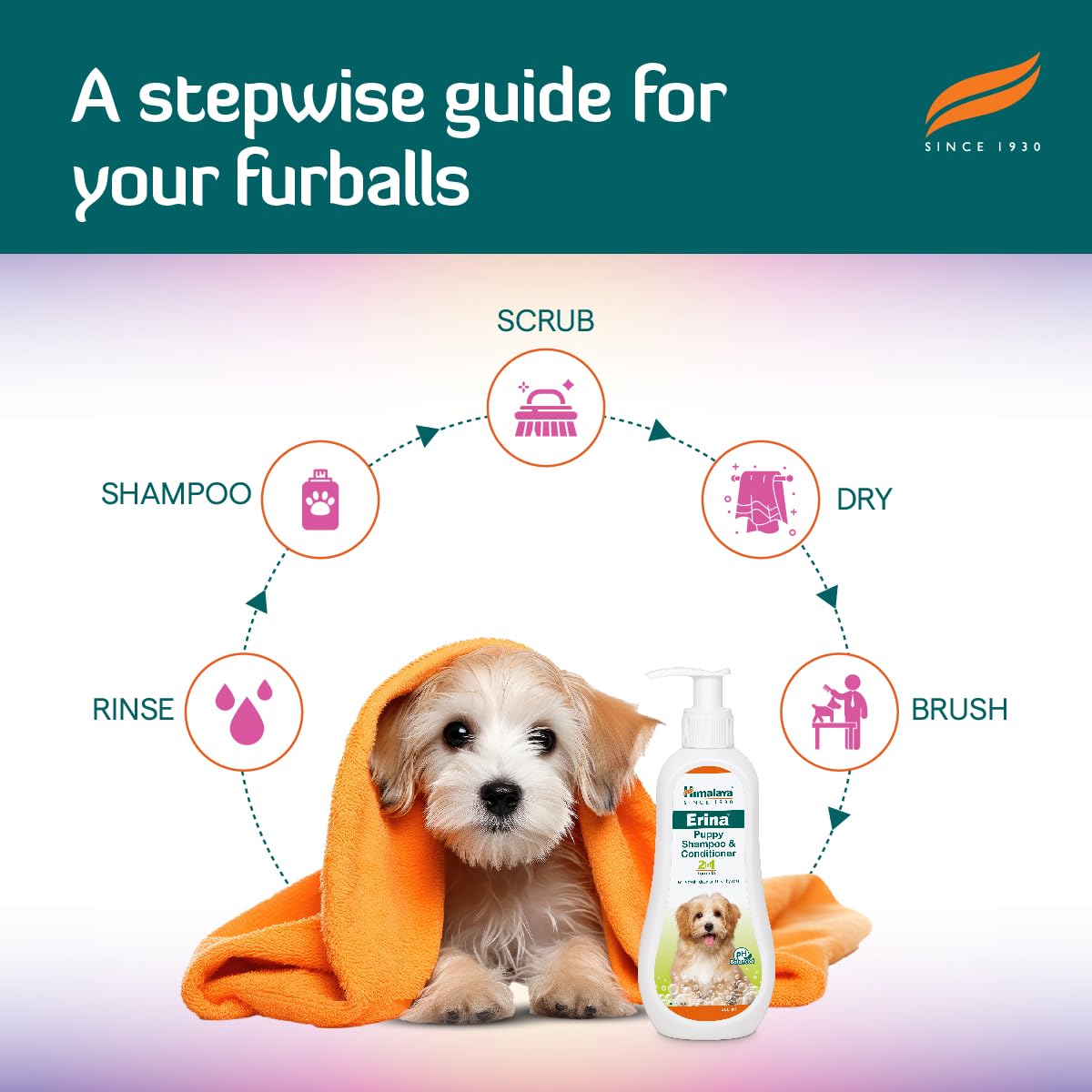 Himalaya Erina Puppy Shampoo & Conditioner - PUSHMYCART