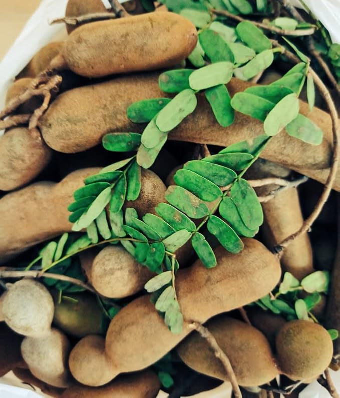 Prakruthi Green Tamarind Pickle - PUSHMYCART