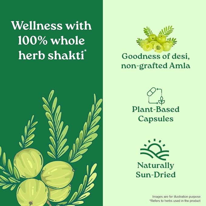 Organic India Amalaki - 60 Veg Capsules