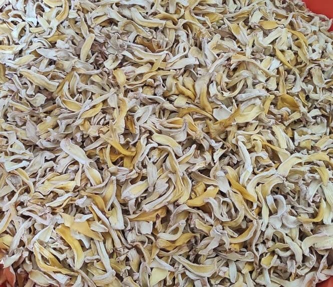 Korah's Agro Foods Jackfruit Powder - PUSHMYCART