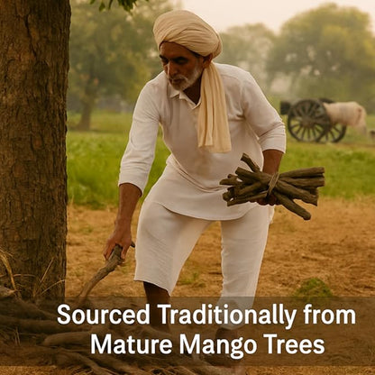 Mango (Aam) Havan Samidha Sticks