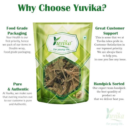 YUVIKA Gurmar Leaves - PUSHMYCART
