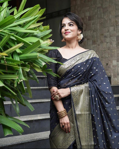 Vasthrlay Banarasi Black Saree with decorative traditional design