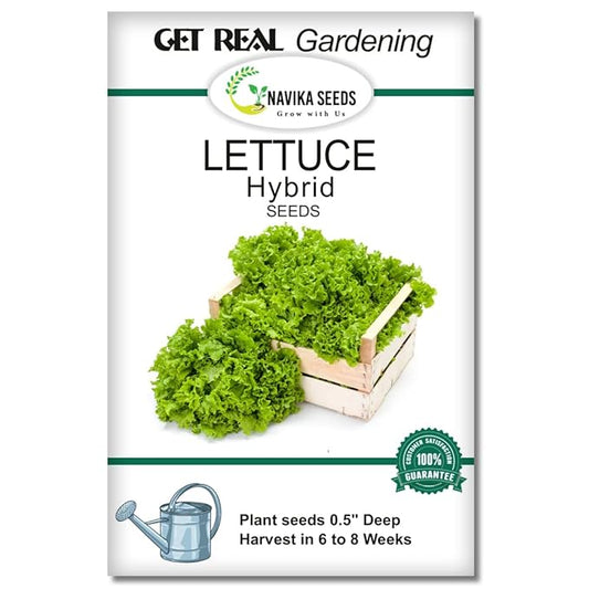 Navika Seeds Grow With Us Lettuce Green Hybrid Vegetable Seed