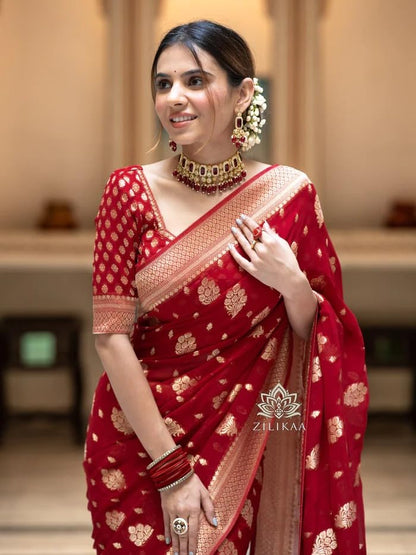 Vasthrlay Classic Traditional Saree for wedding and party wear styling