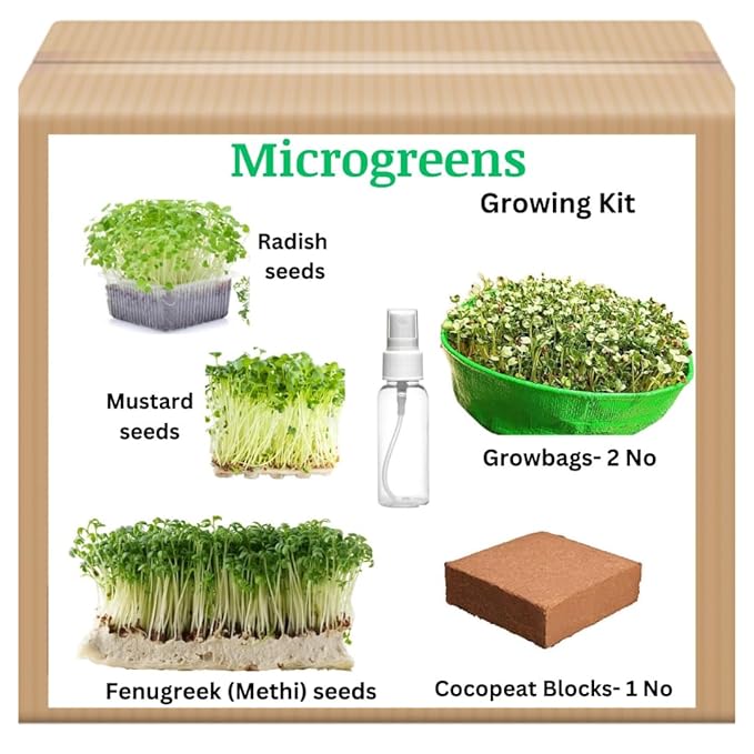 Seed Basket Complete Microgreens Growing Diy Kit 