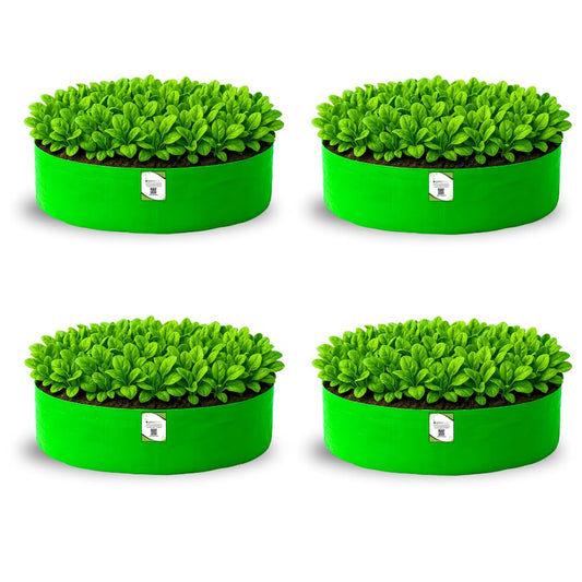 ORGANIC BAZAR HDPE 260 GSM Wide Round Grow Bag for Leafy Vegetables 24 x 6 inch Green Pack of 4