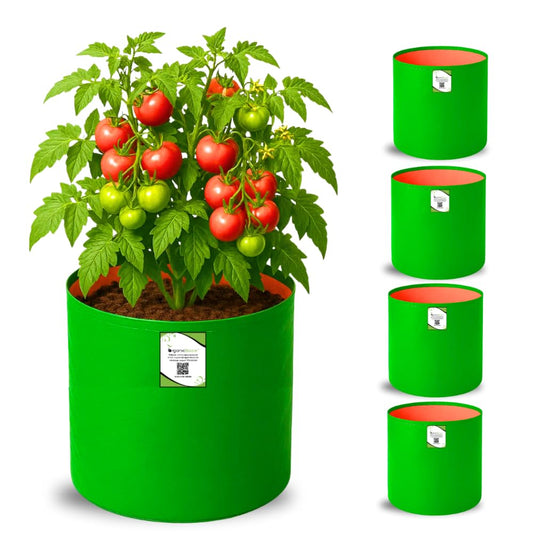 ORGANIC BAZAR HDPE 220 GSM Round Grow Bag 12 x 12 inch Green and Orange Pack of 5