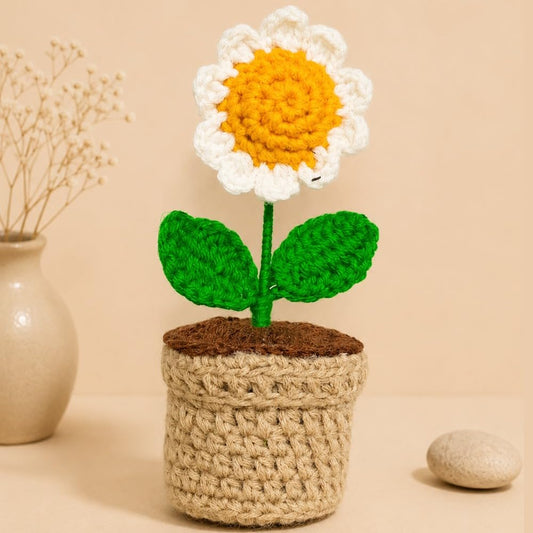 Crochet Daisy Flower Pot - image 1