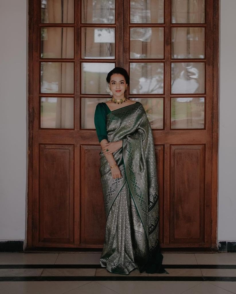 Vasthrlay Classic Traditional Saree for wedding and party wear styling