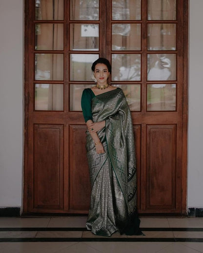 Vasthrlay Classic Traditional Saree for wedding and party wear styling