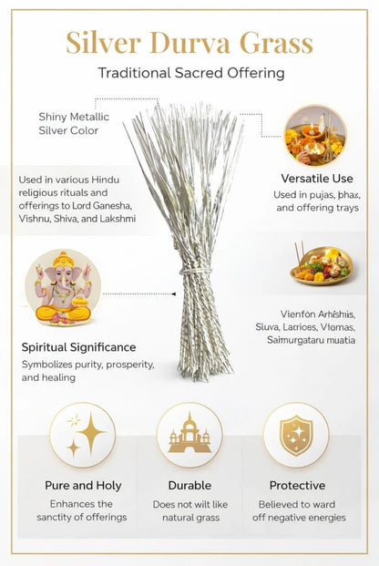 Silver Durva Grass - image 2