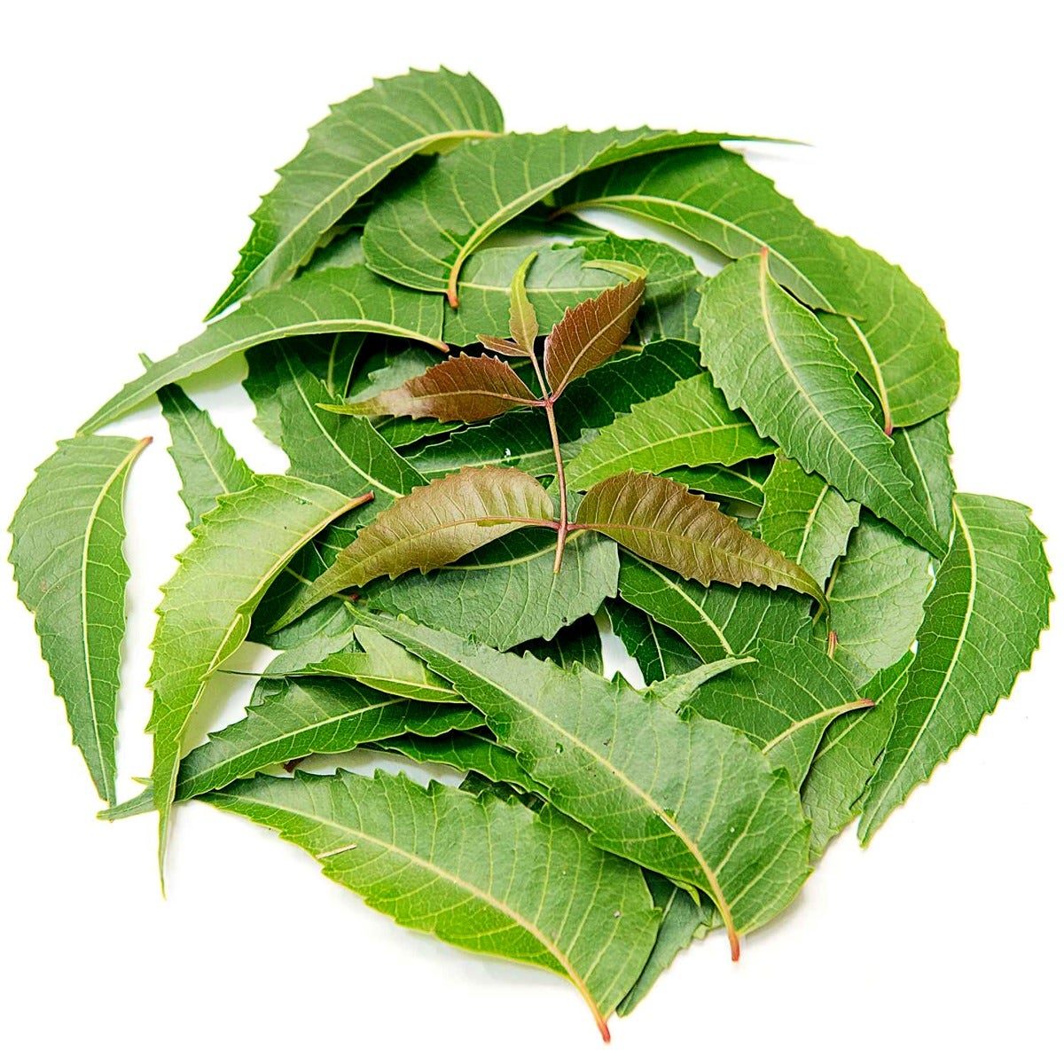 Isha Life Neem Powder in Veg Capsules 100pcs - PUSHMYCART