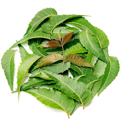 Isha Life Neem Powder in Veg Capsules 100pcs - PUSHMYCART