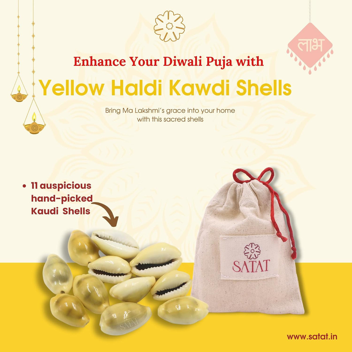 SATAT Natural Yellow Peeli Kaudi Cowrie Shells Pack of 11 for Lakshmi Pooja