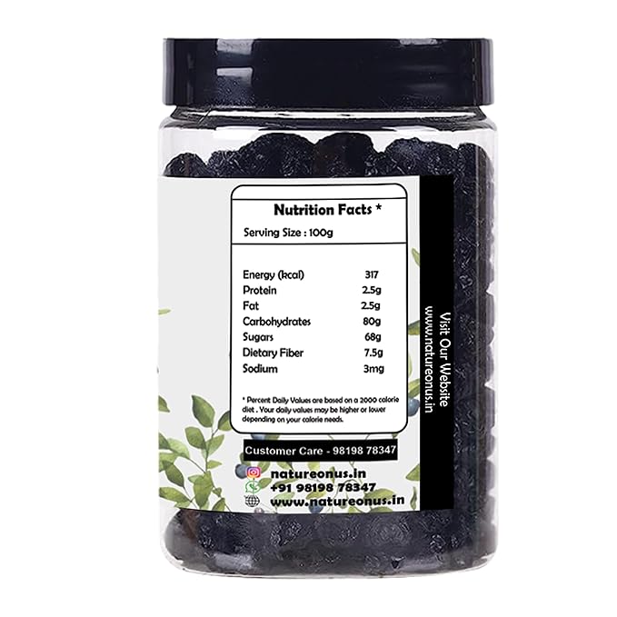 NatureOnus Dried Blueberries