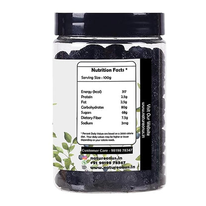 NatureOnus Dried Blueberries