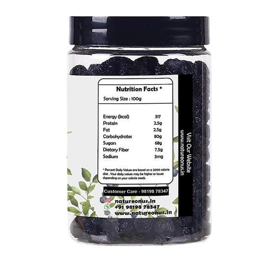 NatureOnus Dried Blueberries