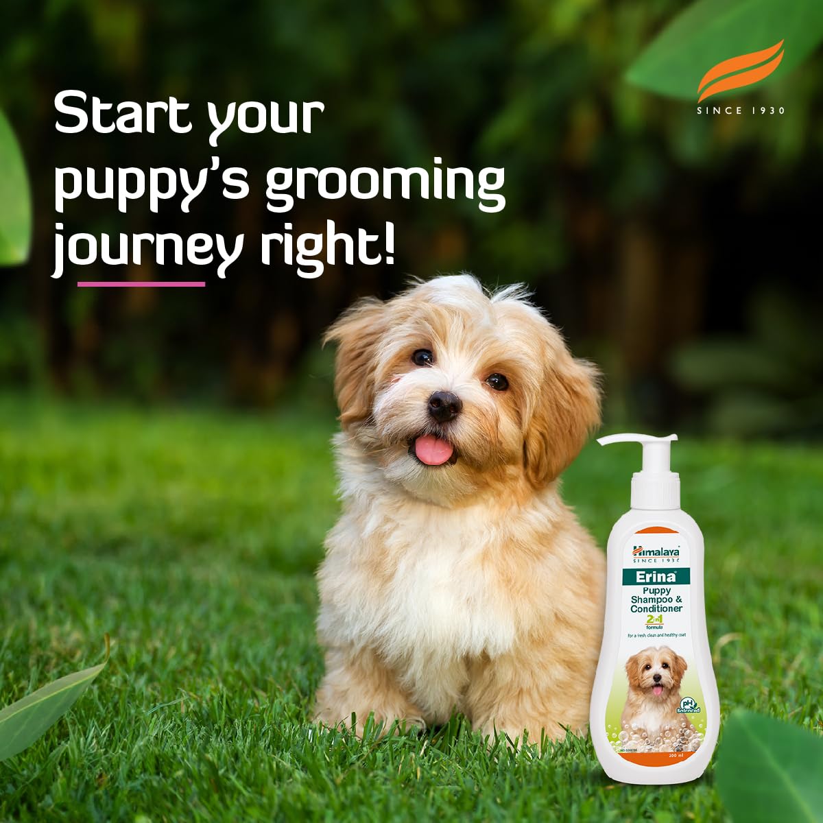 Himalaya Erina Puppy Shampoo & Conditioner - PUSHMYCART