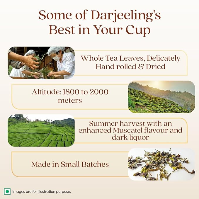 1868 By Tata Tea Darjeeling Rare Wonder Pyramid Tea Bags