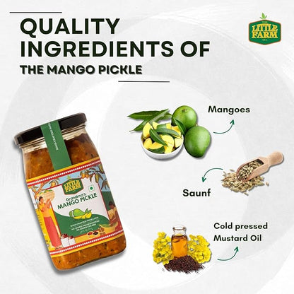 THE LITTLE FARM CO Punjabi Mango Pickle - PUSHMYCART