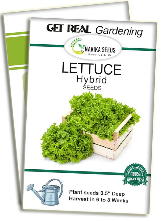 Navika Seeds Grow With Us Lettuce Green Hybrid Vegetable Seed