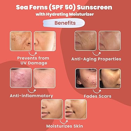 Wild Oak Sunscreen + Moisturizer (SPF 50) PA+++ 