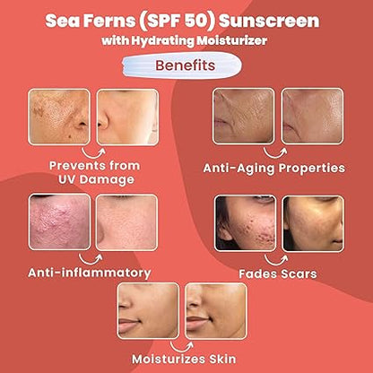 Wild Oak Sunscreen + Moisturizer (SPF 50) PA+++ 