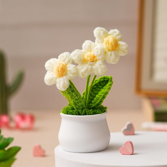Small White Crochet Daisy Flower with Pot, Handmade Knitted Floral Arrangement, Table - image 1