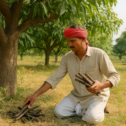 Neem Havan Samidha Sticks Neem Ki Lakdi 