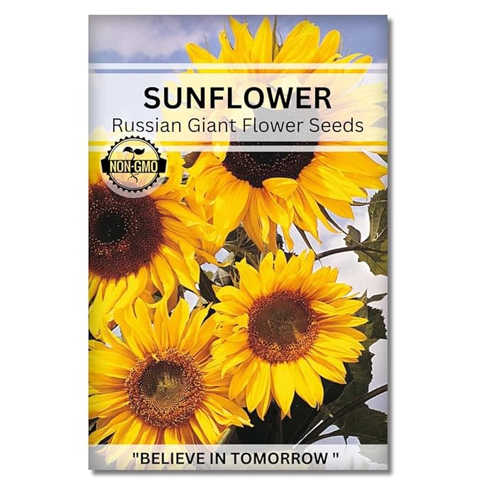 giant flower seeds Navika Sunflower Russian Giant Flower Seeds