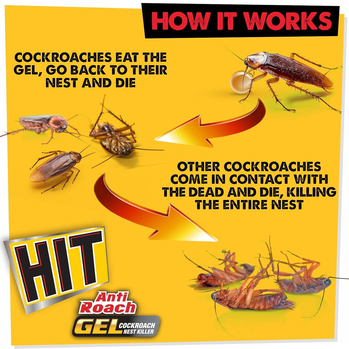 HIT Anti Roach Gel - Cockroach Killer - PUSHMYCART