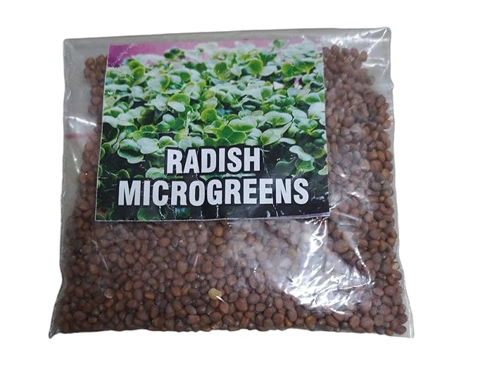 Seed Basket Complete Microgreens Growing Diy Kit 