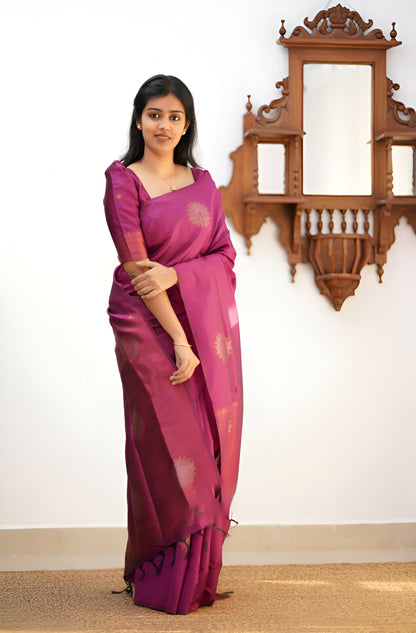 Vasthrlay Traditional Saree in Classic with refined cotton ethnic appeal