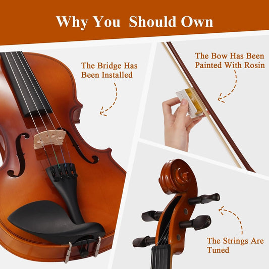 PHOENIX Violin Kit for Beginners with Rosewood Bow Case Tuner and Shoulder Rest