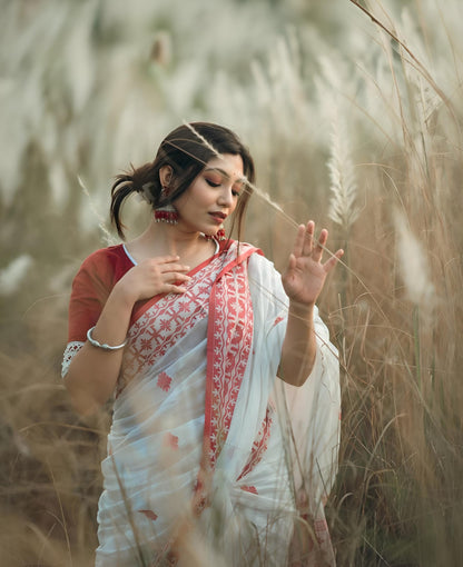 Vasthrlay Traditional Saree in Classic with refined cotton ethnic appeal